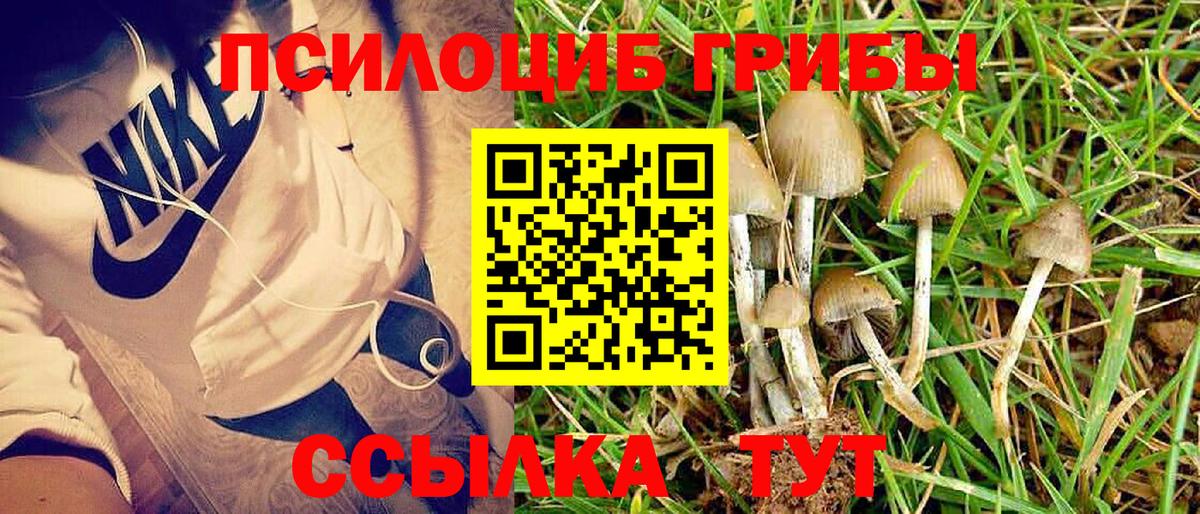 Артёмовский  Псилоцибиновые грибы Magic Shrooms  Вход с VPN 